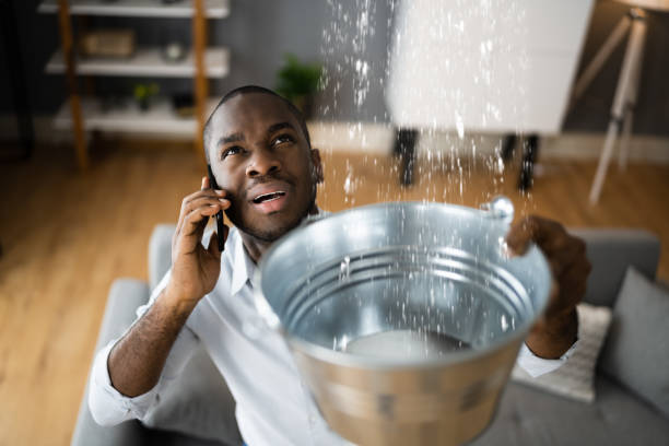 Best Sewage cleanup and water damage restoration  in Lynden, WA