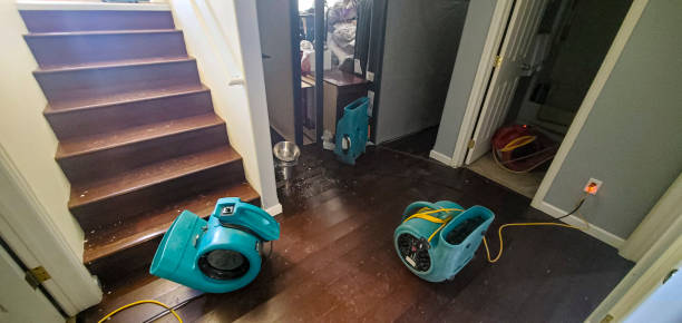 Water damage restoration mold remediation in Lynden, WA