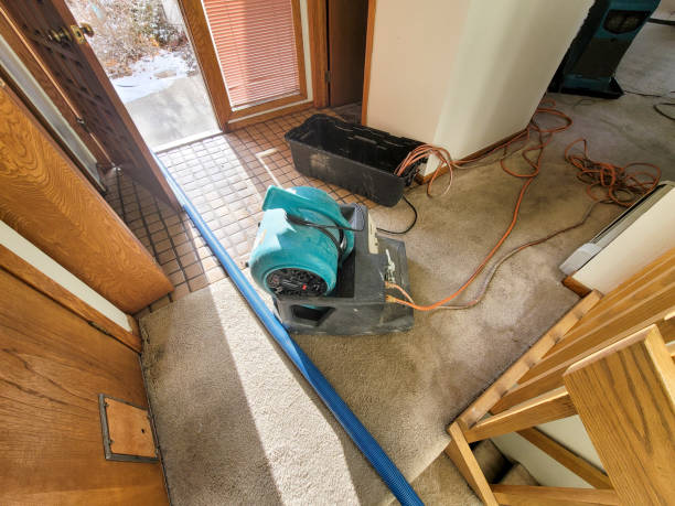 Best 24/7 water damage repair  in Lynden, WA