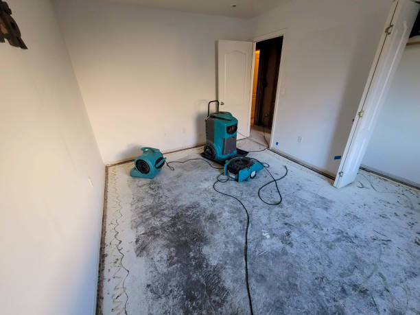 Best Water damage restoration mold remediation  in Lynden, WA