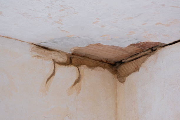 Best 24-hour water damage restoration  in Lynden, WA