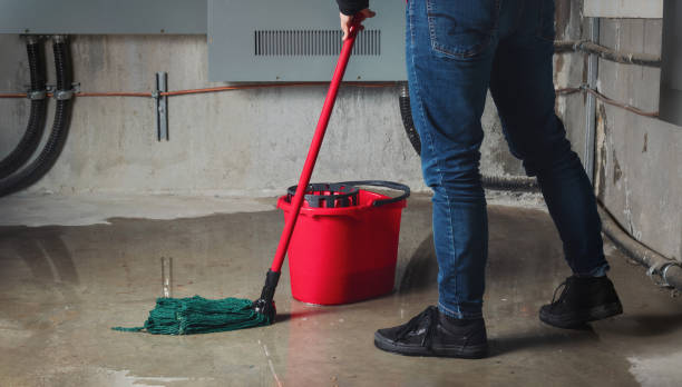 Best Mold removal after water damage  in Lynden, WA