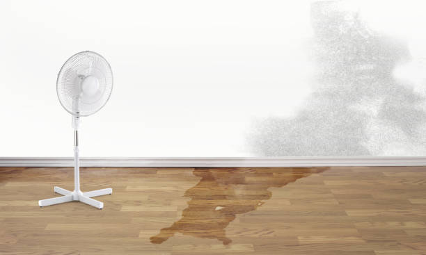  Lynden, WA Water damage restoration Pros