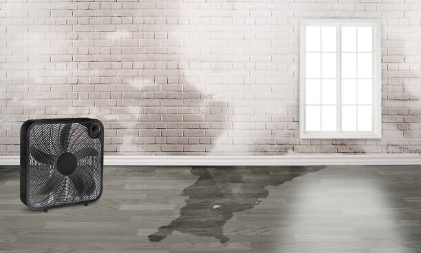 Water damage restoration experts in Lynden, WA