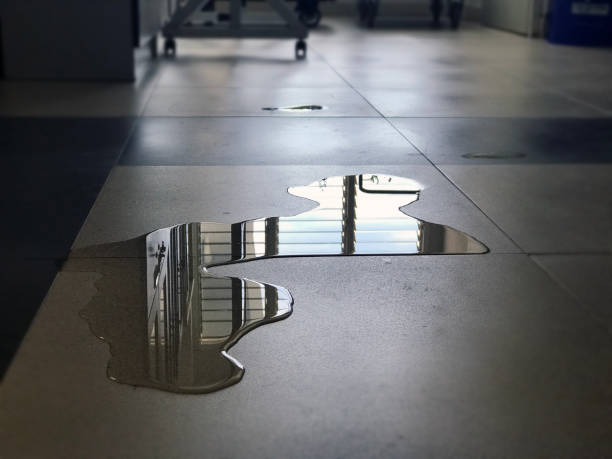 Professional Water damage restoration in Lynden, WA