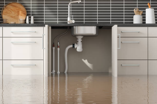 Best Water damage restoration process  in Lynden, WA