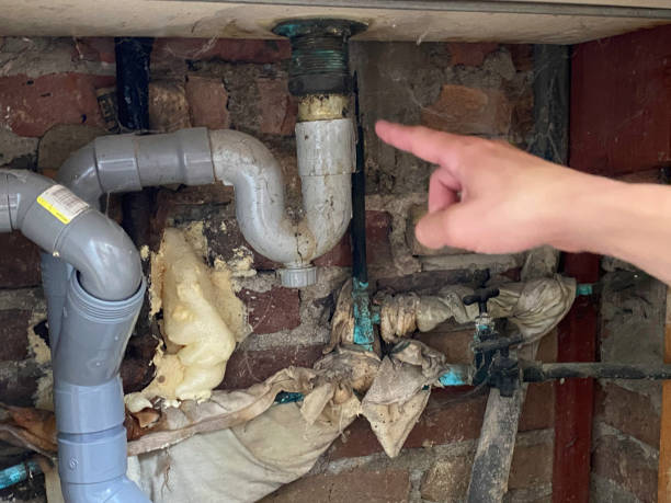 Best Flooded house restoration  in Lynden, WA