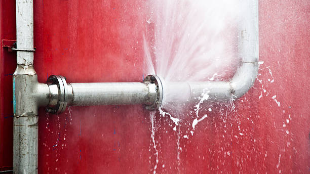 Best Water damage restoration specialists  in Lynden, WA